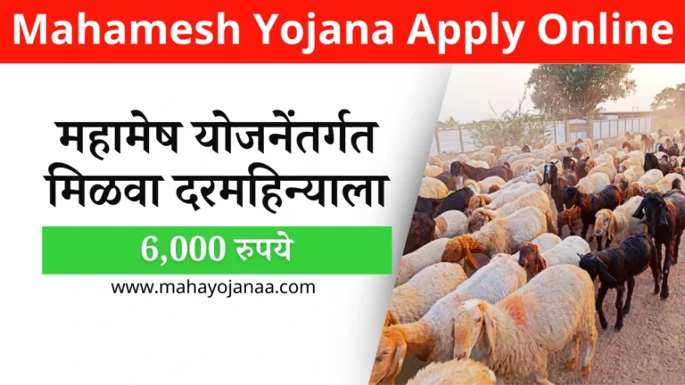 Mahamesh Yojana Apply Online: महामेष योजनेंतर्गत मिळवा 6,000 रुपये दरमहिना