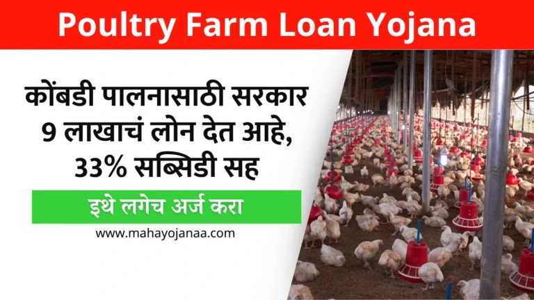 Poultry Farm Loan Yojana: कोंबडी पालनासाठी सरकार देत आहे 9 लाखाचं लोन, 33% सब्सिडी सह – इथे लगेच अर्ज करा!