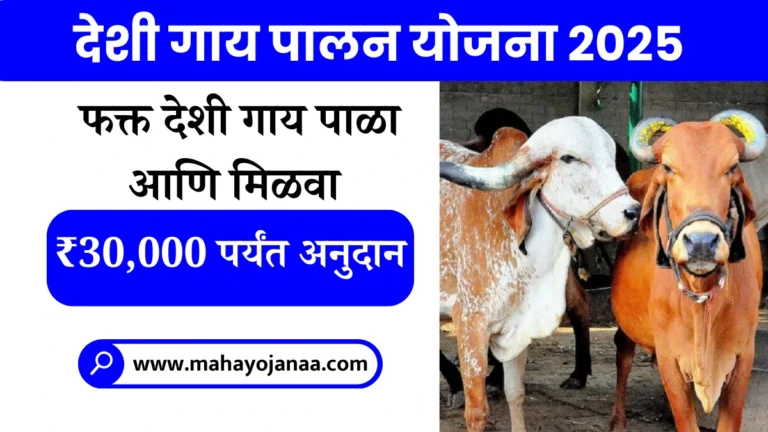 Desi Gayi Palan Yojana 2025 | फक्त देशी गाय पाळा आणि मिळवा ₹30,000 पर्यंत अनुदान! जाणून घ्या संपूर्ण योजना