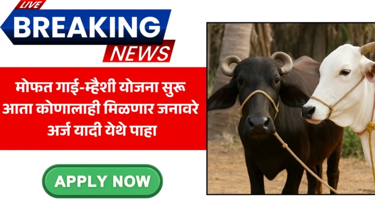 Buffalo And Cowshed Yojana | मोफत गाई-म्हैशी योजना सुरू! आता कोणालाही मिळणार जनावरे , पात्रता, अर्ज यादी येथे पाहा!