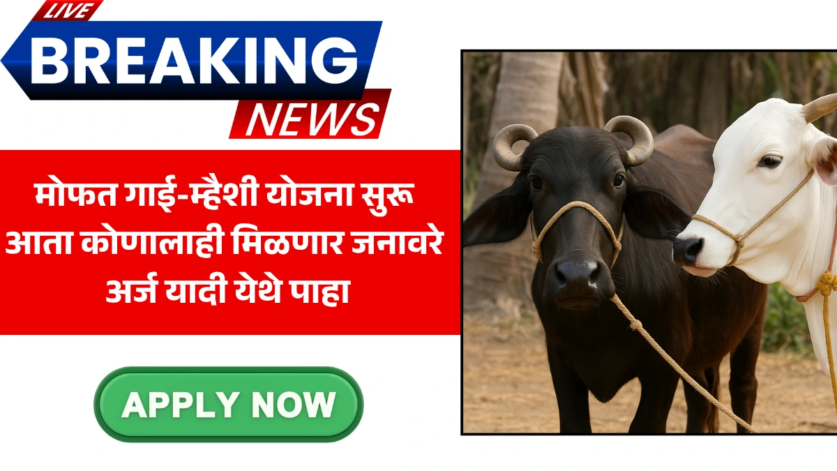 Buffalo And Cowshed Yojana