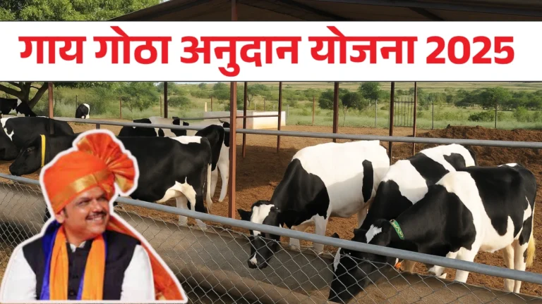 Gai Gotha Yojana 2025: सरकारकडून गोठा बांधणीसाठी थेट 3 लाख रुपयांचे अनुदान, अर्ज सुरू!