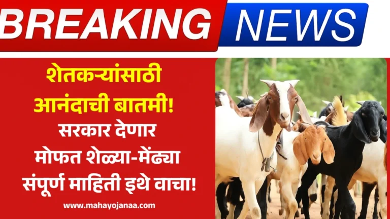 Good News For Farmer: शेतकऱ्यांसाठी आनंदाची बातमी! सरकार देणार मोफत शेळ्या-मेंढ्या – संपूर्ण माहिती इथे वाचा!