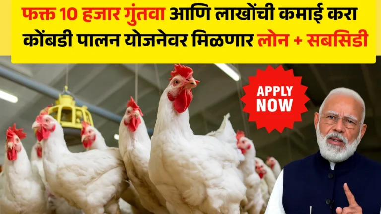Kombdi Palan Loan Yojana | फक्त 10 हजार गुंतवा आणि लाखोंची कमाई करा – कोंबडी पालन योजनेवर मिळणार लोन + सबसिडी!