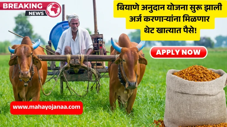 Biyane Anudan Yojana: बियाणे अनुदान योजना 2025 सुरू झाली! अर्ज करणाऱ्यांना मिळणार थेट खात्यात पैसे!